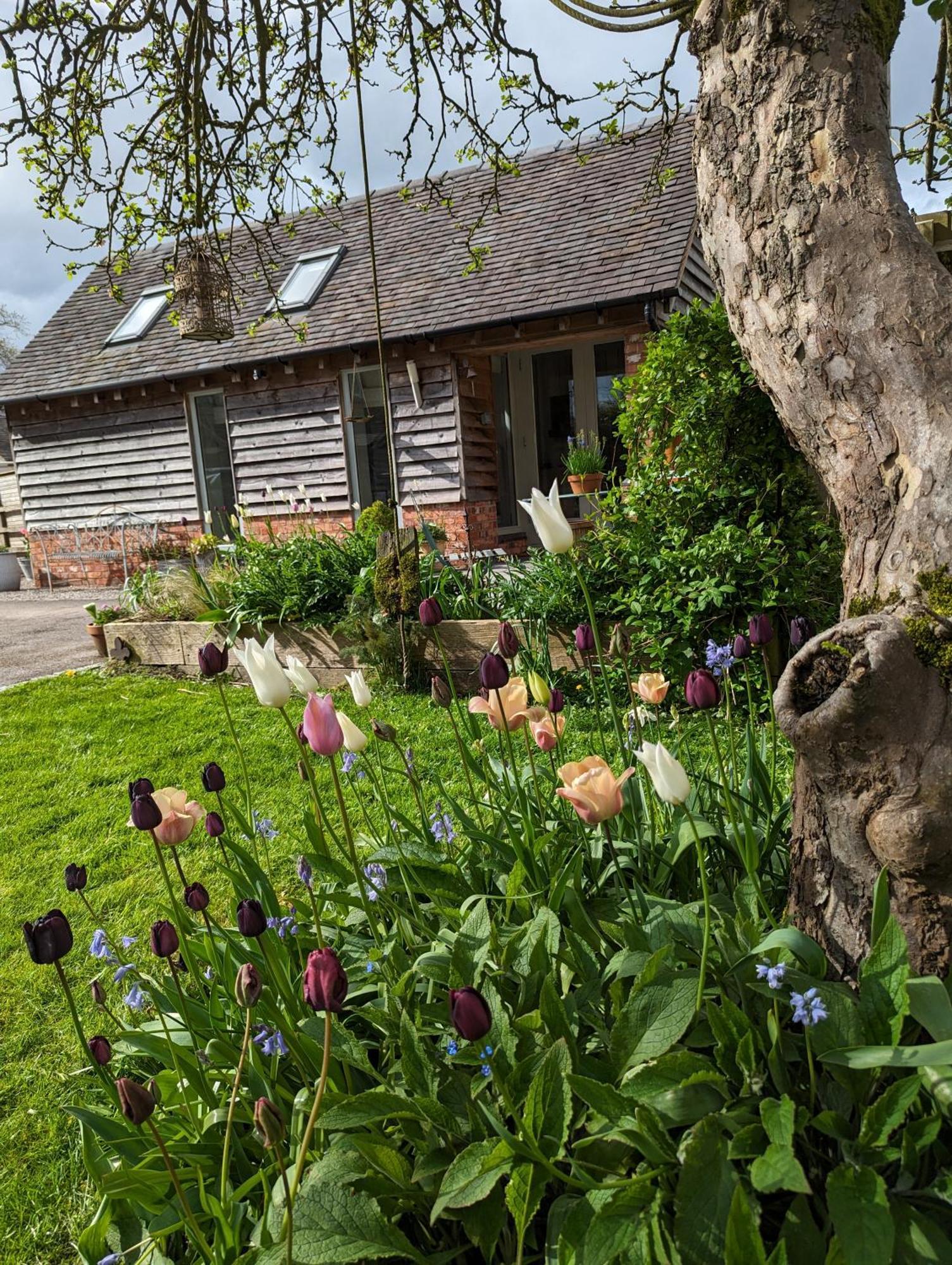 Eccleshall The Dorm Bed And Breakfast מראה חיצוני תמונה