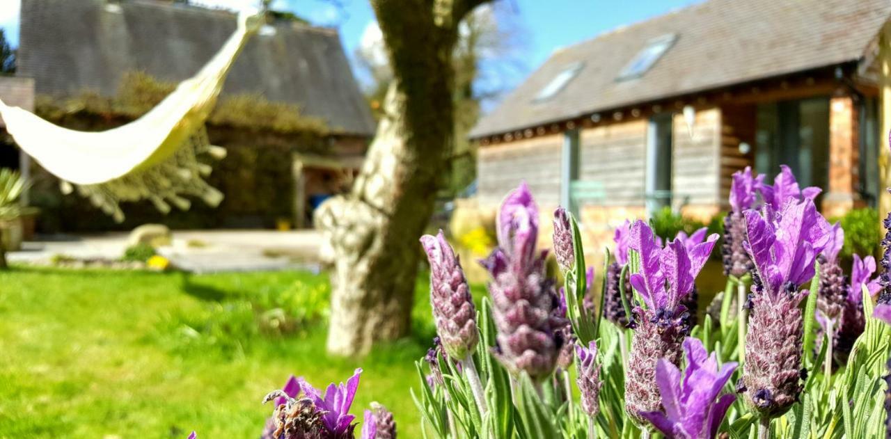 Eccleshall The Dorm Bed And Breakfast מראה חיצוני תמונה