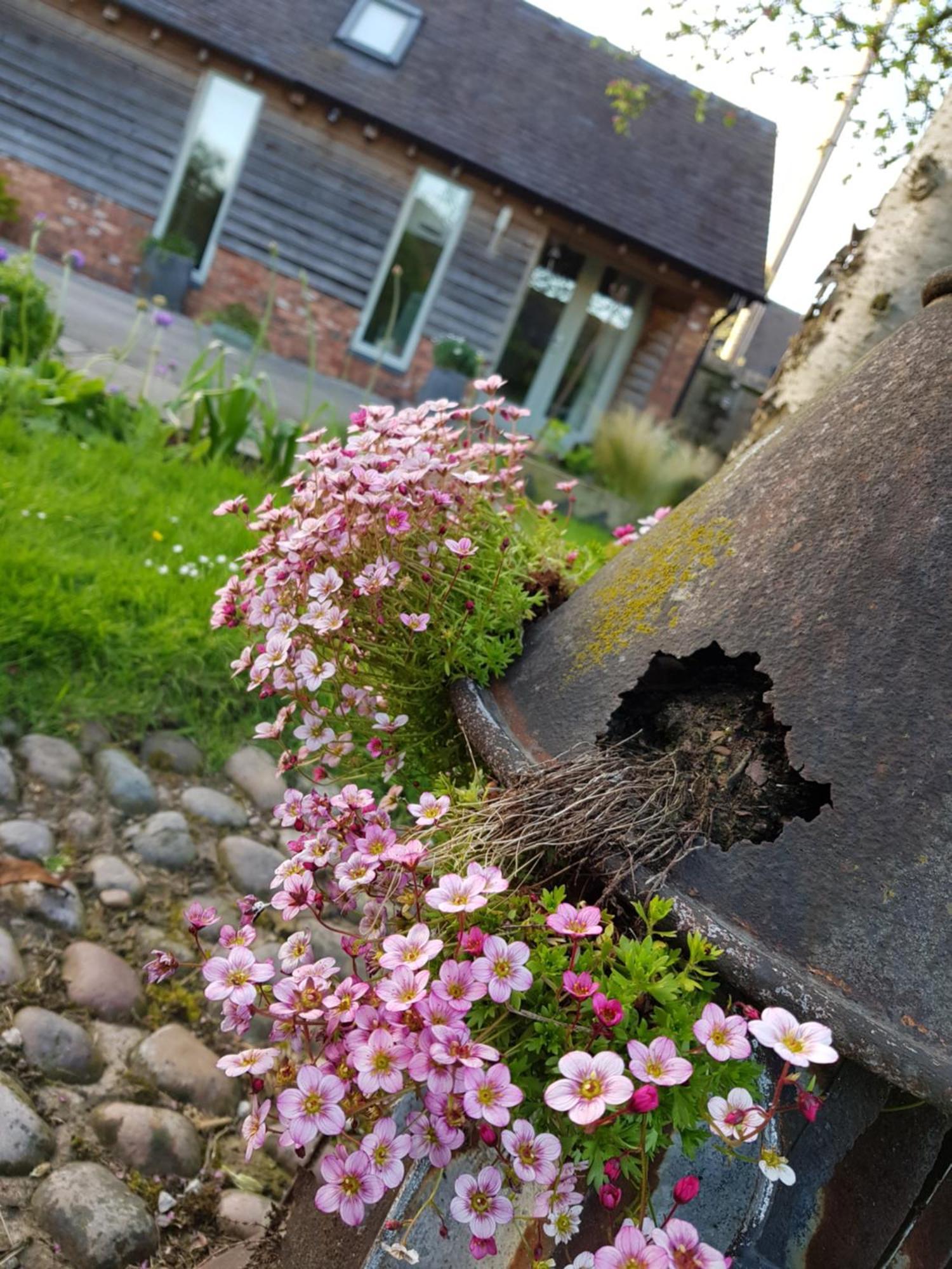 Eccleshall The Dorm Bed And Breakfast מראה חיצוני תמונה